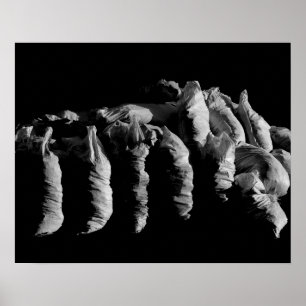 Pôster Fotografia de abstrato com Sacks Brancos Pretos