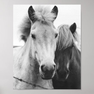 Poster Fotografia de Black and White Horse