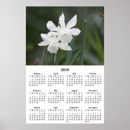 Pôster Fotografia de Daffodils Brancos do Calendário 2018