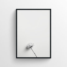 Fotografia de Flor Minimalista no Monocromo