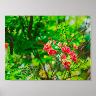 Poster Fotografia de Flor Tropical Rosa, Botânica Verde L