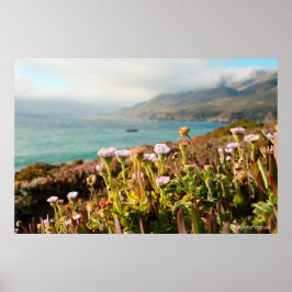 Poster Fotografia de Flores do Oceano Pacífico