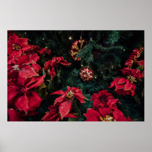 POSTER FOTOGRAFIA DE FOCO SELETIVO DO PLANO DE POINSETTIA