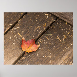 Poster fotografia de queda minimalista de folha de mapa