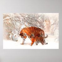 Fotografia de um tigre e filhote tocando na neve.