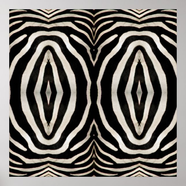 Pôster Fotografia de uma verdadeira Pele de Zebra (Frente)