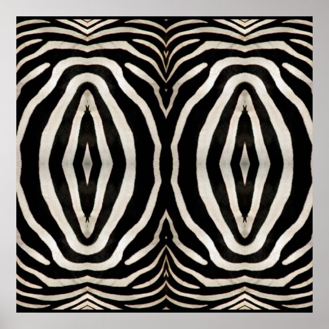 Pôster Fotografia de uma verdadeira Pele de Zebra (Frente)