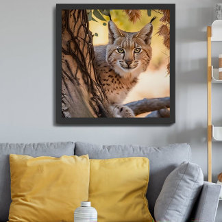 Poster Fotografia de Wildlife Closeup de Bobcat