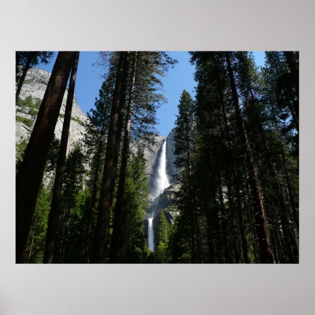 Poster Fotografia de Yosemite Falls and Woods Landscape (Frente)