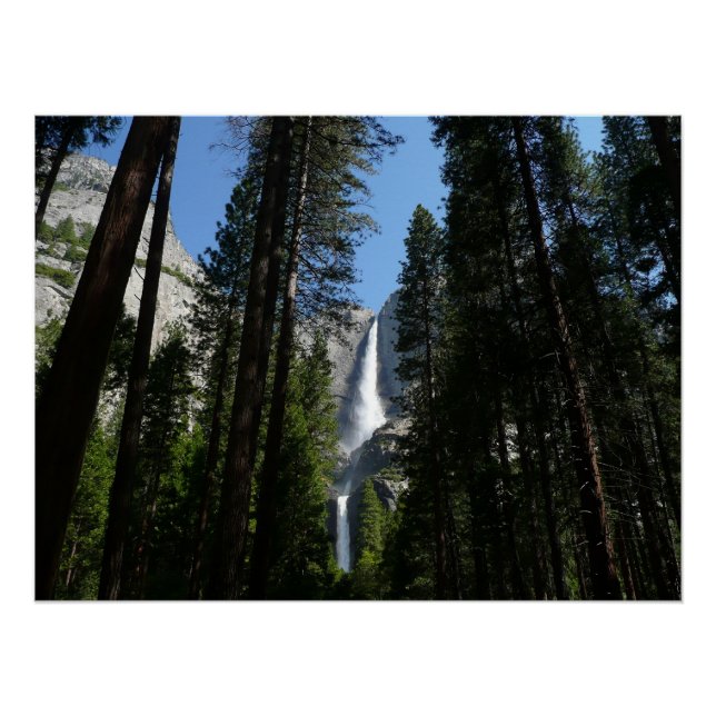 Pôster Fotografia de Yosemite Falls and Woods Landscape (Frente)