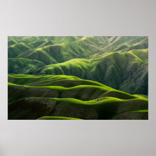 POSTER FOTOGRAFIA DO OLHOS DA AVE DAS MONTANHAS VERDES