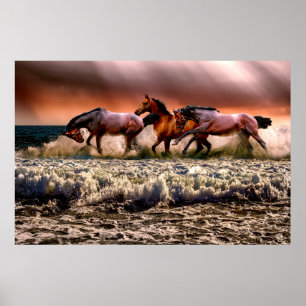 Poster Fotografia dramática de cavalos correndo em uma p