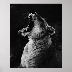 POSTER FOTOGRAFIA EM GRAYSCALE DE SONHAGEM