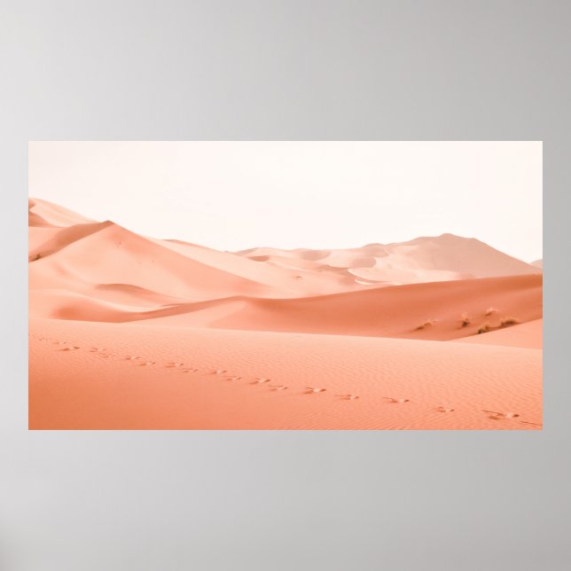 POSTER FOTOGRAFIA EM PAISAGEM DE DESSERT (Frente)