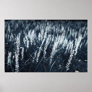 POSTER FOTOGRAFIA FECHADA DA PLANTA GREEN