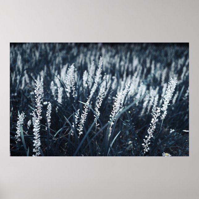 POSTER FOTOGRAFIA FECHADA DA PLANTA GREEN (Frente)