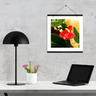 Poster Fotografia floral da única flor vermelha do