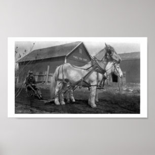 Pôster Fotografia histórica da fazenda da fileira do