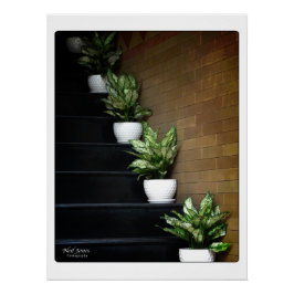 Pôster Fotografia na rua Vietnã