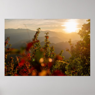 Poster Fotografia natural de árvores verdes sobre a boca