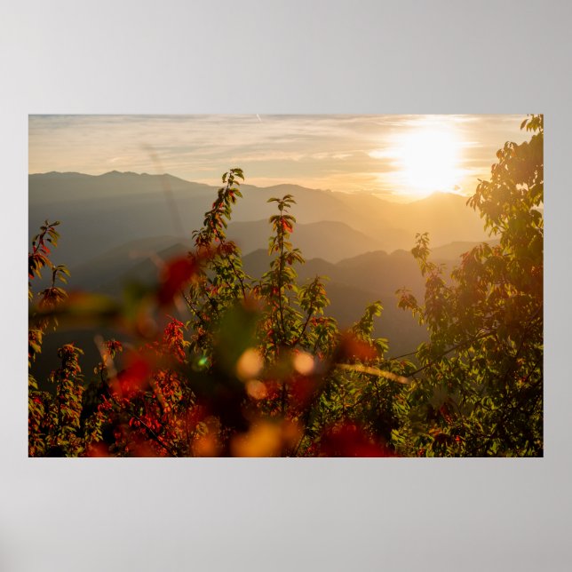 Poster Fotografia natural de árvores verdes sobre a boca (Frente)