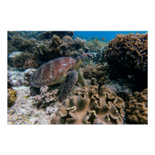 Pôster Fotografia náutica marinha aquática