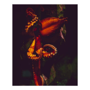 Pôster Fotografia náutica marinha aquática