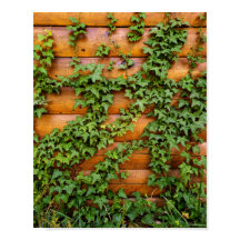 Fotografia personalizada, maré no retrato da pared