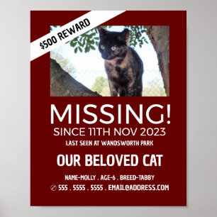 Poster Fotografia Personalizada, Pet Ausente e Perdido