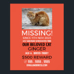Poster Fotografia Personalizada, Pet Ausente e Perdido<br><div class="desc">Fotografia Personalizada,  Poster de Pet Ausente Perdido pela Loja Cartão de visita.</div>