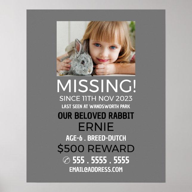 Poster Fotografia Personalizada, Pet Ausente e Perdido (Frente)