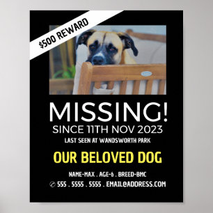 Poster Fotografia Personalizada, Pet Ausente e Perdido