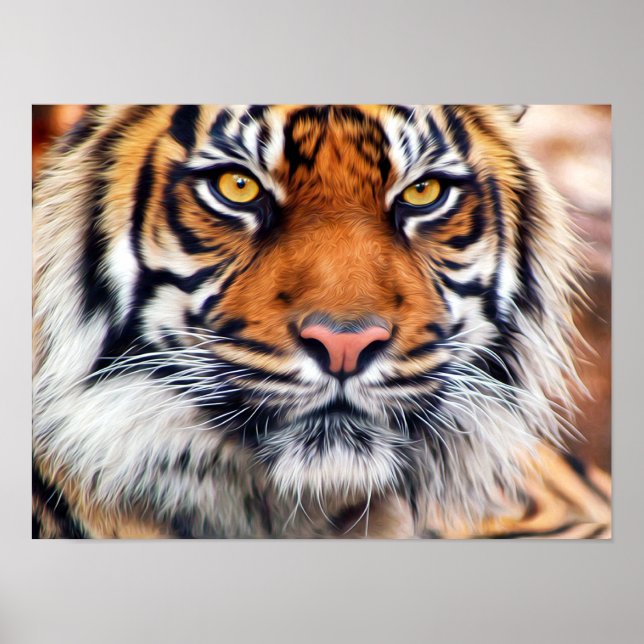 Pôster Fotografia Pintada de Tigre Siberiano Macho (Frente)