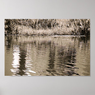 Pôster Fotografia Pond Sepia