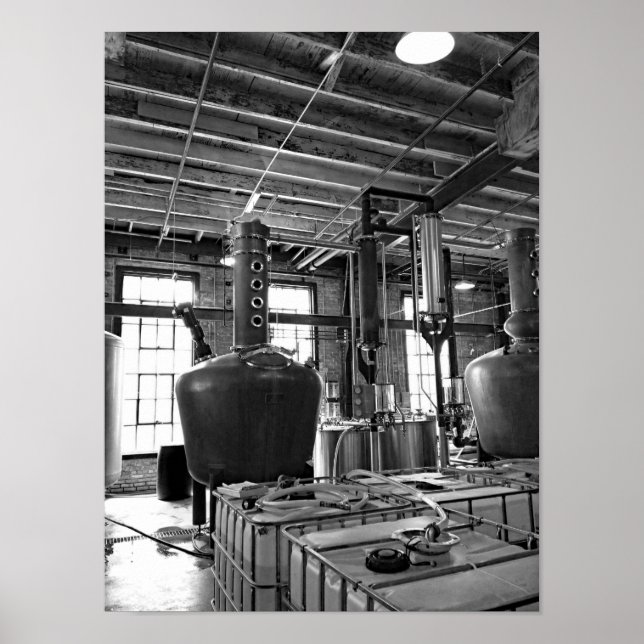 Pôster Fotografia Preta e Branca (Frente)