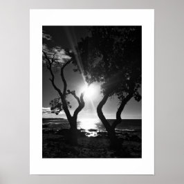 Poster Fotografia Preta e Branca de Sunlit Shore Hawaii