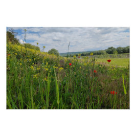 Pôster Fotografia primavera