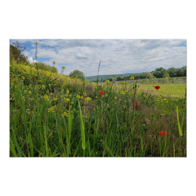 Pôster Fotografia primavera (Frente)