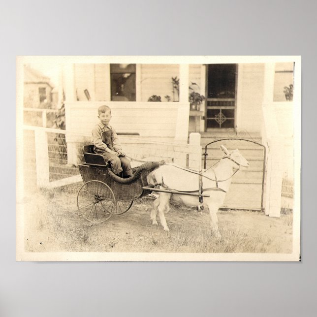 Poster Fotografias antecipadas de Crianças, ponto 04 (Frente)