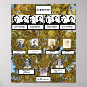 Poster Fotos da árvore da família Cottonwood Fall Quatr