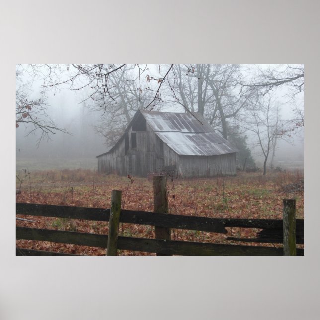 Pôster Fotos de cascos (Frente)