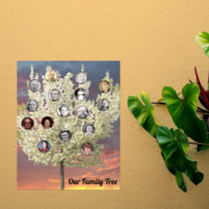 Poster Fotos Redondas com Árvore em Flor Branca e Pôr do 