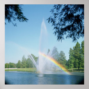 PÔSTER FOUNTAIM E RAINBOW É O PARQUE FLORESTAL
