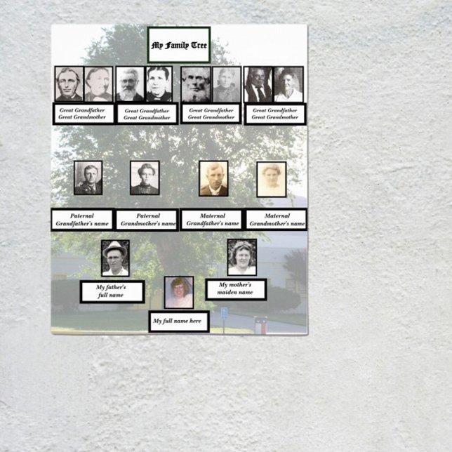 Poster Four-Generation Chinese Elm Family Tree Photos (Criador carregado)