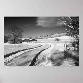 Poster Fox Hill Fazenda