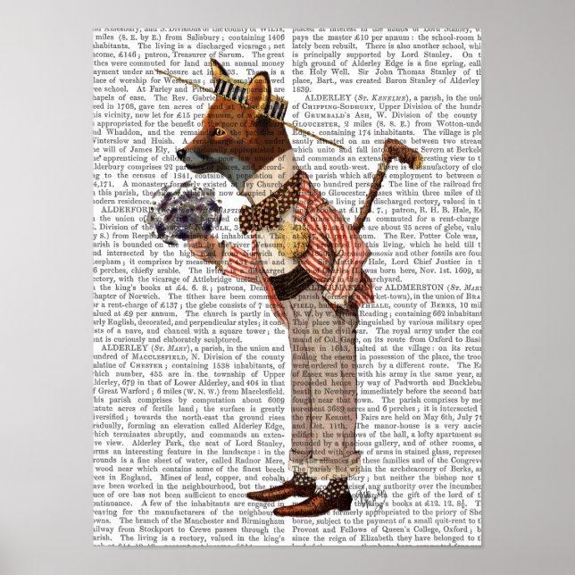 Pôster Fox in Boater (Frente)