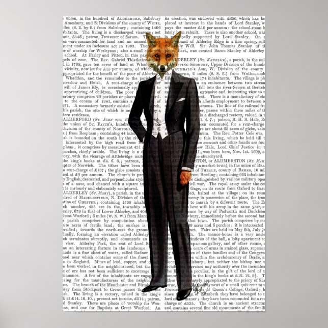 Poster Fox No Cheio Da Noite (Frente)