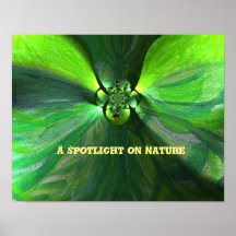 Fox Spotlight Green Leaf Patterno Country