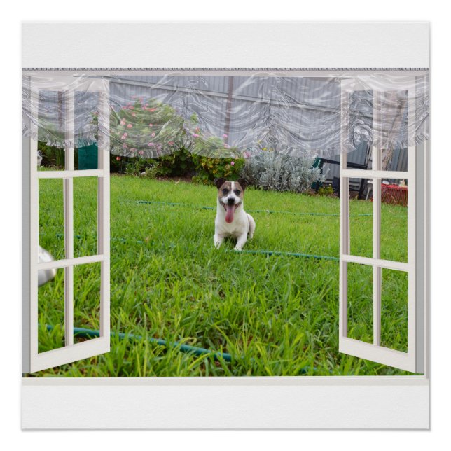 Pôster Fox Terrier venha jogar, Poster (Frente)