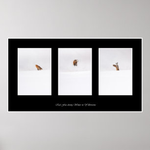 Pôster Fox vermelho